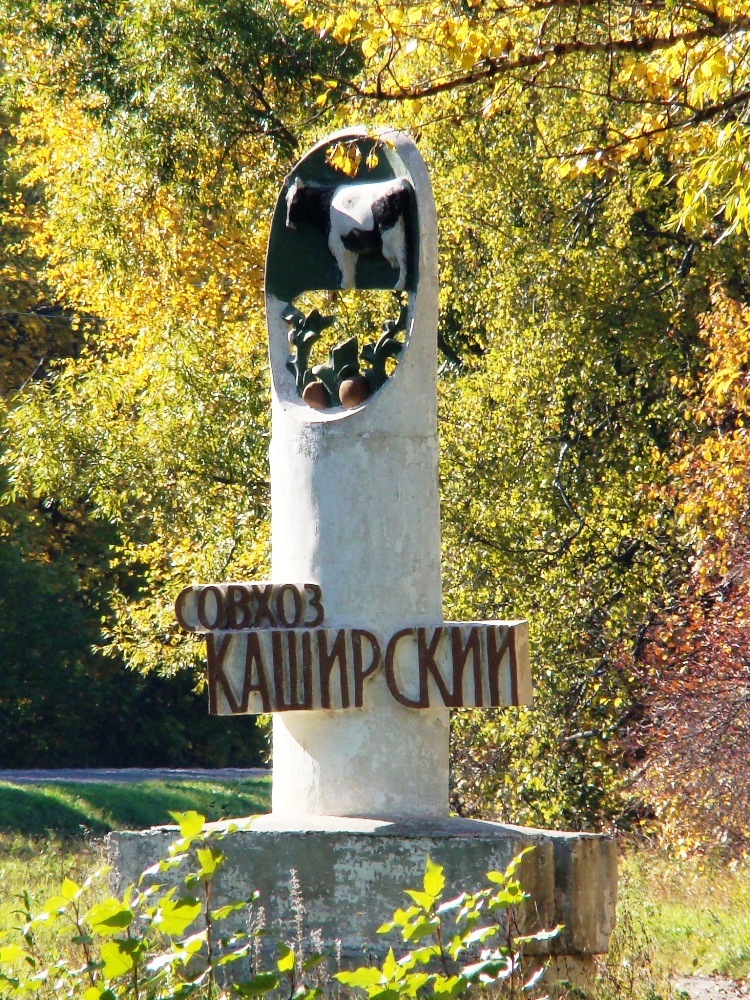 Каширский совхоз