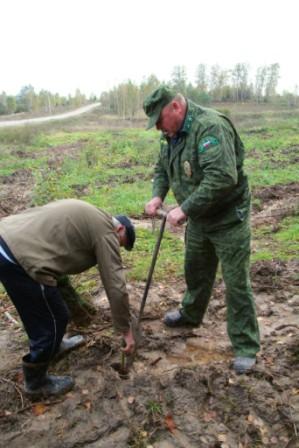 Посади дерево 03.10.13